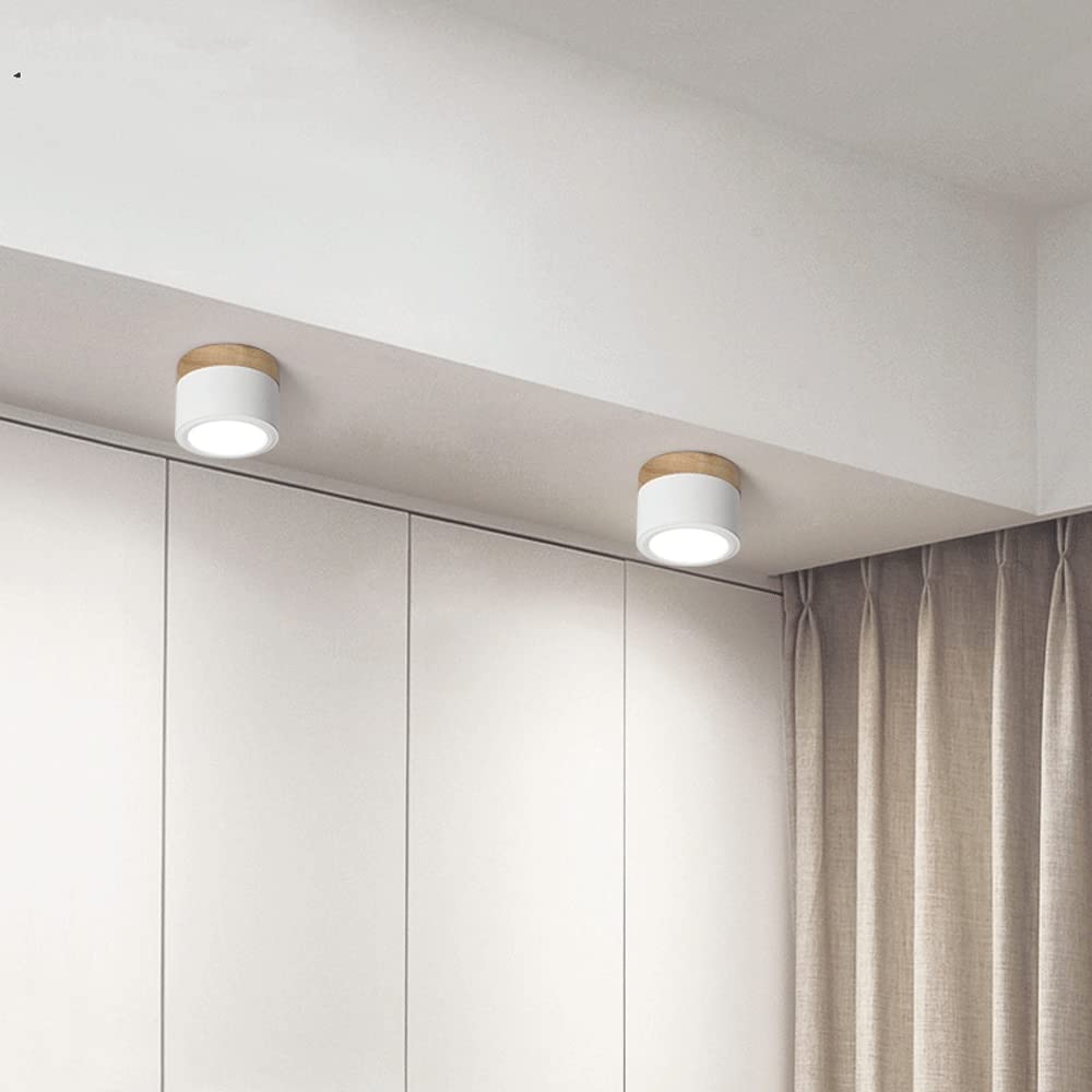 Aluminum Mini Cylinder Ceiling Light