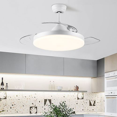 Lampsmodern Simple Low Profile Ceiling Fans with Lights White Remote ...