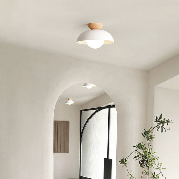 Lampsmodern Nordic Modern Minimalist Ceiling Light Hallway Ceiling Lamp