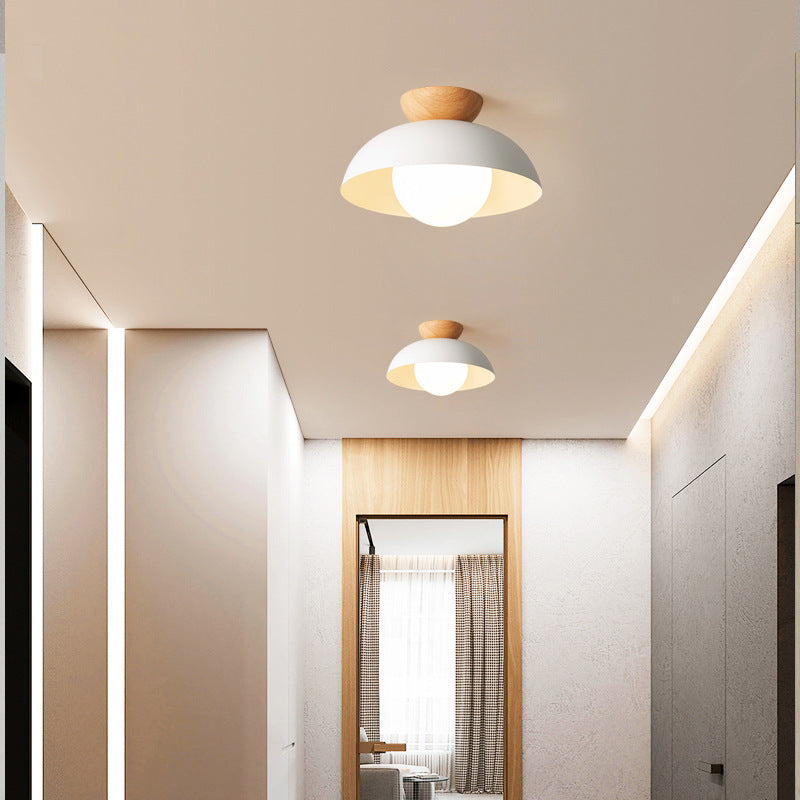 Modern Minimalist Eco-friendly Ceiling Light